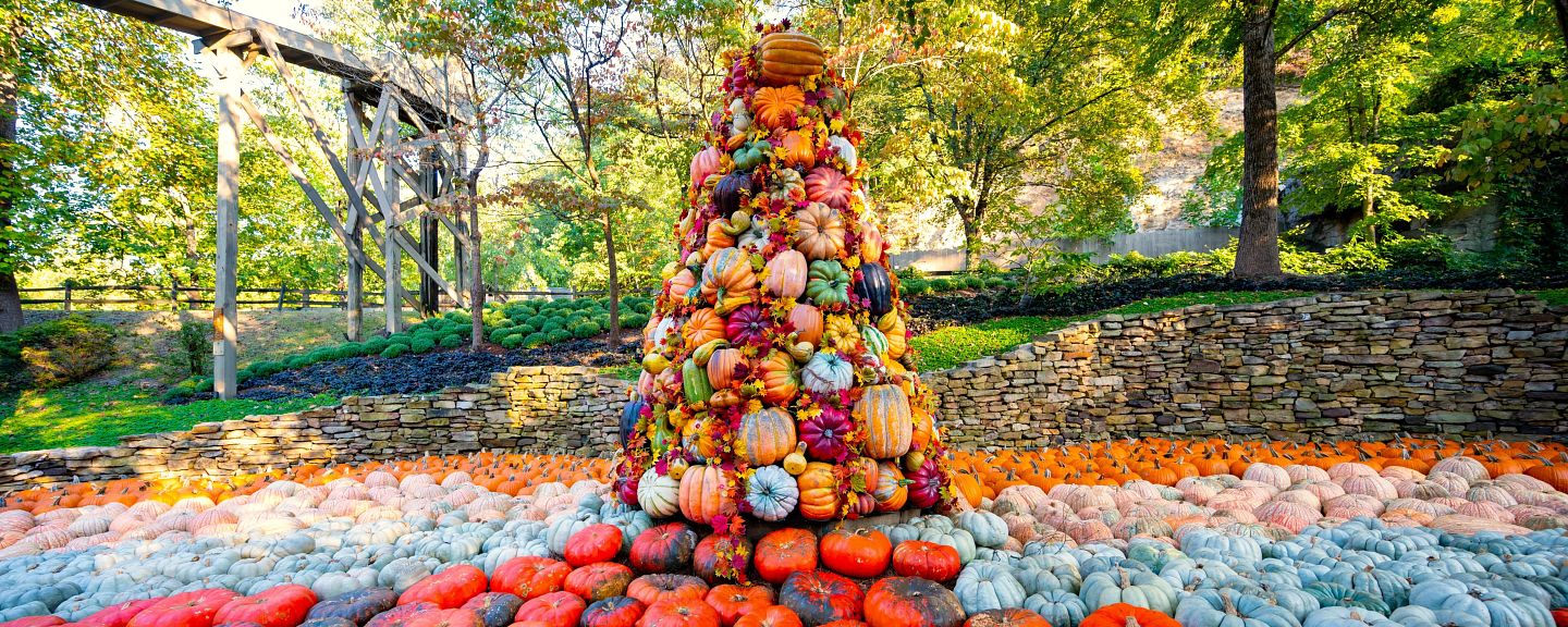 Colorful pumpkin display shaped like a tree at Dollywood’s Harvest Festival, surrounded by a variety of pumpkins in an autumn setting, celebrating fall in East Tennessee.