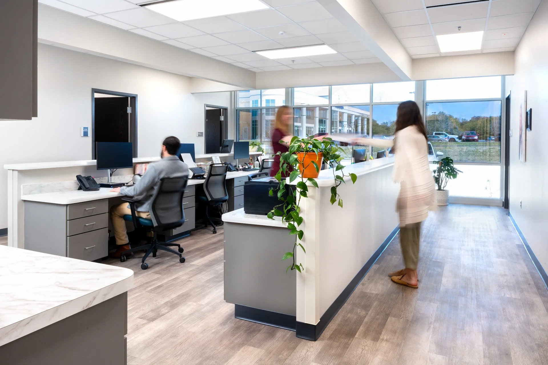 Reception area of Summit Medical Group in Oak Ridge, Tennessee, featuring staff at desks, a welcoming atmosphere, and a plant accent, designed and built by George Ewart, a top commercial architect firm in Knoxville, TN.